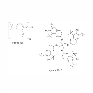 Majú bobule vysoký obsah antioxidantov?